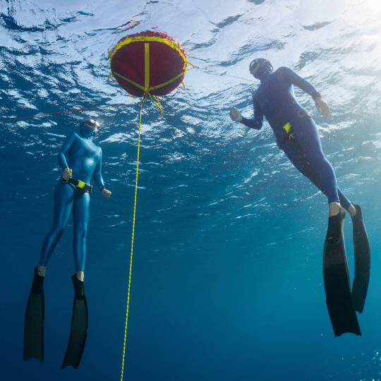 Freediving Jobs UnderwaterPro