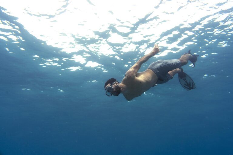 The Ultimate Guide to Finding Freediving Jobs Around the World