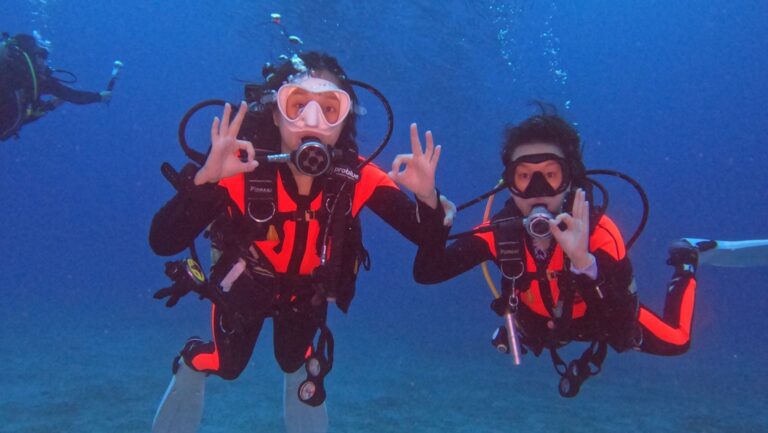 The Best Scuba Diving Jobs for Divers in this Summer