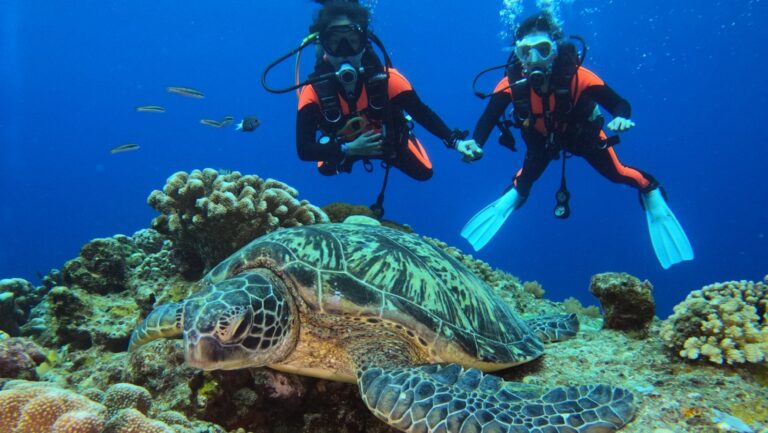 Top Destinations to Scuba Dive and Work as an Instructor