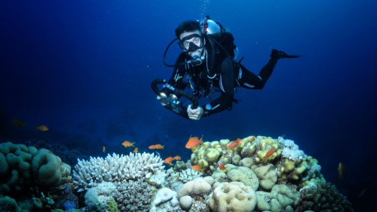 Scuba Diving for Beginners: Your Ultimate Guide to Exploring the Underwater World