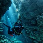 Sumérgete profundamente en tus pasiones: explora carreras de fotografía submarina