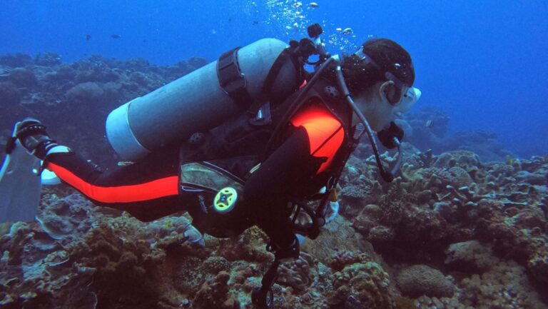 Exploring Google's Gemini forEssential Gear for Professional Scuba Divers