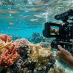 L'art et l'aventure de la photographie sous-marine