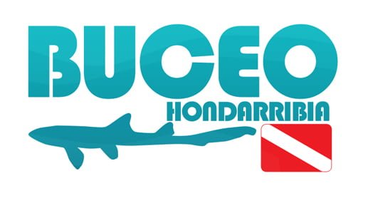 BUCEO HONDARRIBIA